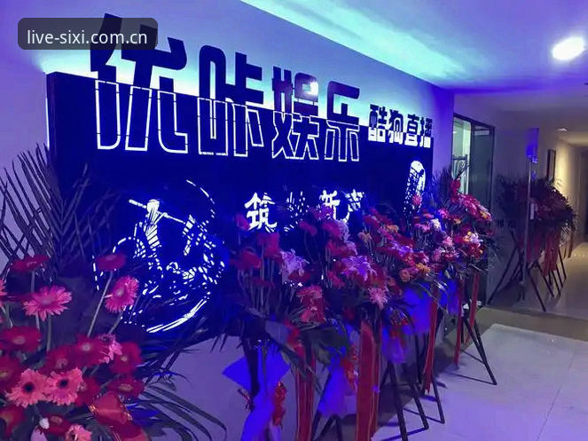 四喜娱乐直播下载常见问题拆解：官方渠道vs第三方风险，哪个更靠谱？